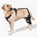 Dog Knee Brace with Adjustable Support ACL & CCL Tear Recovery, Post-Surgery Stabilization, Mobility Aid for Rear Legs Includes Secure Chest Harness for Dogs (Both Legs, L)
