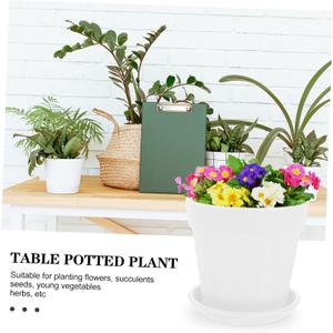 6 Cactus Pots for Plants and Decorative Displays (9.5x9.5X9cm, White)