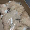 Skylety 10 Pcs Bears Bulk Stuffed Animal Plush Toys 10-14 Inches Birthday Party Favors(Light Brown)