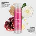 Joico Colorful Anti-Fade Shampoo | For Color-Treated Hair | Preserve Hair Color & Vibrancy Long-Term | Boost Shine & Reduce Breakage | Sulfate Free | With Camellia Oil & Pomegranate Extract