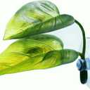 Betta Fish Leaf Pad Simulating The Natural Habitat for Betta Spawning Grounds Breeding Resting Bed Plastic Suction Cup (1 Pcs)