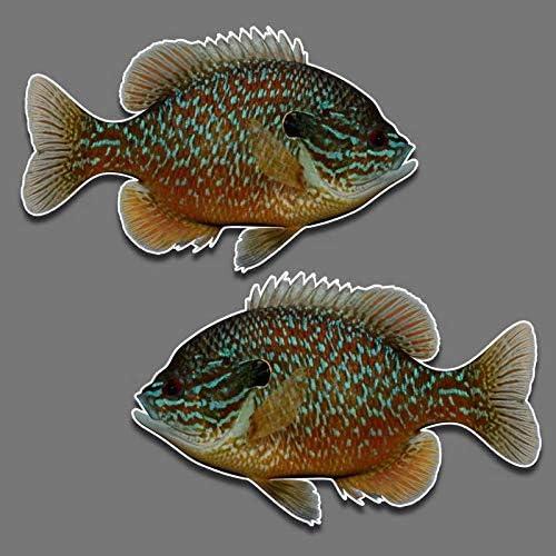 Bluegill Fish Panfish Vinyl Decal Set Of 2 R-L Facing 5.5" X 9" Freshwater Fishing Sun Fish Car Truck Sticker For Window Glass