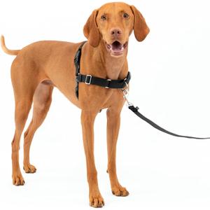 PetSafe Easy Walk No-Pull Dog Harness - The Ultimate Harness to Help Stop Pulling - Take Control & Teach Better Leash Manners - Helps Prevent Pets Pulling on Walks, Medium, Charcoal/Black