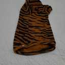 Limited Edition Sphynx Cat Cotton T-Shirts Hairless Cat Sweatshirt Pet Kitten Clothes Round Collar Kitten Shirts Vest Cats & Small Dogs Apparel (Siberian Tiger, XL)