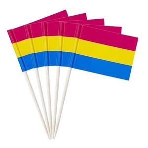 stidsds 100 Pcs Pride Rainbow Flag Pansexual Toothpick Flags Mini Small Gay LGBTQ Cupcake Toppers Stick Flags Banner Rainbow Party Cocktail Fruit Decoration, Pack Of 3