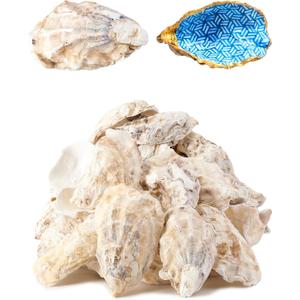 20Pcs Oyster Shells for Crafts 3"-4" Large Oyster Shell for CraftsOyster Shell for Christmas Painting Beach Themes Wedding, Home Shells for Decoration and Sea Shells for Crafting