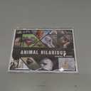 560 Teacher Reward Stickers Funny Motivational Positive Stickers for Kids Students 28 Vibrant Designs Fun Animal Reward Come in Envelope for Kids Students Teacher School Classroom