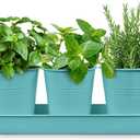Plexon Herb Planter Indoor Garden Set of 3 with Tray, Metal Herb Pots for Indoor Plants, Round Kitchen Garden Kit Ideal for Windowsill Planter or Countertop, Tiffany Blue Powder Coated