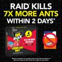 Raid Max Liquid Ant Bat; Kills Ants Where They Breed, For Indoor and Outdoor Use; 4 Bait Stations