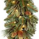 National Tree Company Pre-Lit Artificial Christmas Garland, Green, Carolina Pine, White Lights, Decorated with Pine Cones, Battery Operated, Christmas Collection, 9 Feet
