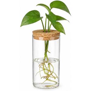 HOMSFOU Plant Propagation Stations, Glass Hydroponic Vase with Cork Lid, Terrarium Jar for Propagating Hydroponic, Plant Growing, Home & Office Decor