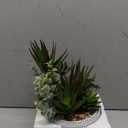 11” Large Succulents Aloe Plants Artificial in Ceramic Pots Potted Faux Succulent Eucalyptus Arrangement with Black Bowl Pots Fake Desk Succulents Plants for Home Bathroom Shelf Table Indoor Decor