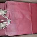 BAG BOX 100 Pack Medium 8.25x4.3x10.6 Inch Red Kraft Paper Gift Bags with Handles for Bulk Shopping, Retail, Craft, Party Favors, Wedding, Grocery & Sacks, 8.25 * 4.3 * 10.6 inch（Pack of 100）