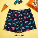 BRISIRA Boys Swim Trunks Bathing Suit Compression Boxer Brief Liner Swim Shorts Swimsuit Anti-Chafe Toddler Kids Youth Teen (5-6, Black Dinosaur)