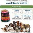 Genuine Leather Dog Collar 1" Wide Full Grain, Padded, Heavy Duty with Brass Buckle for Dogs (Medium (Fit Neck Size 14.5"-18.5"), Teal Green)