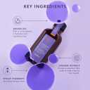 Moroccanoil Treatment Purple Hair Oil for Blonde Hair