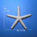 Resin Starfish Seashells Starfish Decor Sea Shells for Crafting Starfish Pendant for DIY Wedding Decoration,Beach Shells Vase Filling,Fish Tank Sea Shell Decor Shell Wall Decor(26, White)