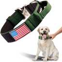 Tactical Dog Collar - Adjustable Military Training Nylon Dog Collar with Handle and Heavy Duty Metal Buckle for Medium and Large Dogs, with luminousPatches (M(15"-19"), Green)