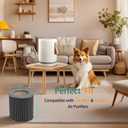 2 Pack Air Mini Replacement Filters, Compatible with Molekule Air Mini And Air Mini+ Air Purifiers, High-Efficiency Activated Carbon 3-in-1 Air Clean Filtration System