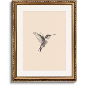 VIYYIEA Gold Framed Hummingbird Wall Art, Minimalist Canvas Wall Decor, Vintage Nature Sketch Illustration for Living Room Bedroom, Great Gift for Bird Lover, 16x20 Inch