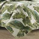 Tommy Bahama - Queen Quilt Set, Reversible Cotton Bedding with Matching Shams, Soft All Season Bedspread, Coastal Bedding Set (Fiesta Palms Green, Queen)
