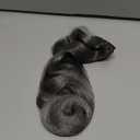 SEIKEA Hair Toppers for Women Real Human Hair, 10" Clip in Bangs Hand-tied Base 1.4 * 2.2inch Natural Realistic with Thinning Hair with Wispy Bangs Light Gray