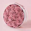 FIACO 12 Preserved Roses in Box Forever Flowers for Delivery Christmas Anniversary Birthday Gifts for Women Fresh Eternal Rose Valentines Day Gifts for Her-Dusty Rose