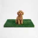 Turf Grass 29.5"x17" for Dogs with Drainage Holes - Easy to Clean Washable Pad for Potty Training, Artificial Turf Dogs Puppies, Realistic Fake Grass for Pet Areas, Dog Potty for Pee Indoor Outdoor
