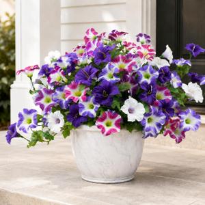 4 Pcs Artificial Petunia Flowers for Outdoors, UV Resistant Fake Flowers Morning Glory, Realistic Artificial Plants for Garden Porch Window Box Balcony Patio Yard Planter Decor (Purple White Red)