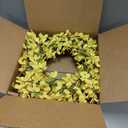 20 Inch Spring Wreath for Front Door, Yellow Forsythia Spring Wreath for Farmhouse Rustic Grapevine Blossom Cluster Festival Celebration Front Door Wall Window Party Decoration Home Dcor