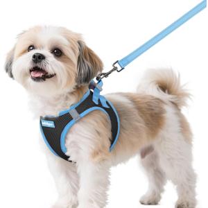 Rabbitgoo Dog Harness Small Sized and Leash Set, Step-in Breathable Pet Harness, Soft Walking Reflective Puppy Vest for Dogs, Black & Light Blue, S (Chest: 15.1 - 16.5")
