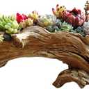 Driftwood Planter Faux Wood Resin Succulent Planter Vintage Artificial Stump Log Like Container Pot for Home & Garden NO Plants (Irregular-brown)