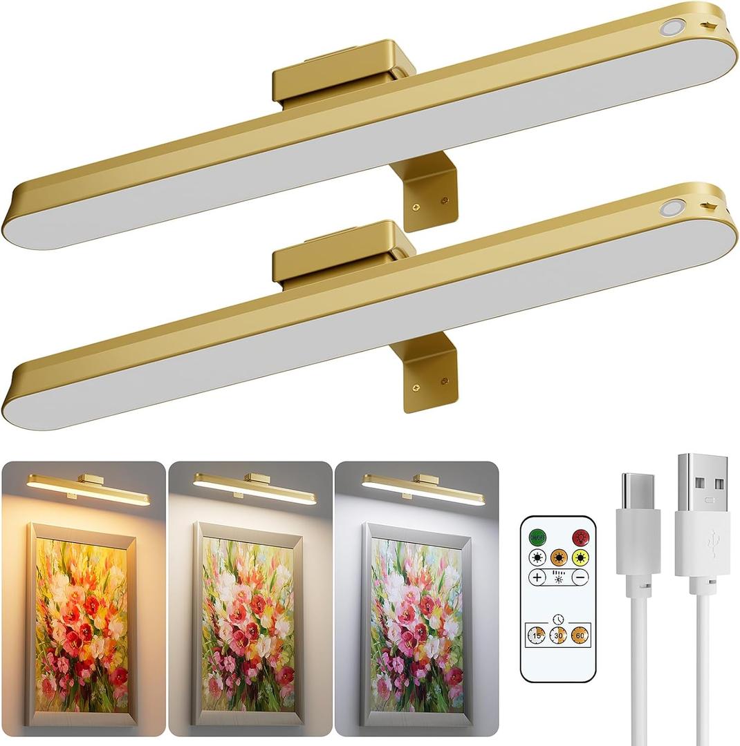 Picture Lights for Wall Battery Operated, 2-Pack 16in Magnetic Rechargeable Picture Light with Remote, Dimmable, Timer Painting Light,Art Display Light for Picture Frame Artworking Portrait, Gold