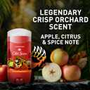 Old Spice Aluminum Free Deodorant for Men, 24/7 Odor Protection, 24/7 Freshness & Lasting Scent, Goes on Clear, Bearglove with Crisp Orchard Scent, 3.0 oz (Pack of 3)