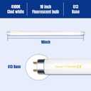 F15T8/CW 15W 18" T8 Fluorescent Linear Tube Bulb 1.5 Feet Cool White Light 4100K G13 Base 2 Pack