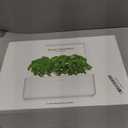 Click & Grow Indoor Herb Garden Kit with Grow Light | Smart Garden for Home Kitchen Windowsill | Easier Than Hydroponics Growing System | Vegetable Gardening Starter (3 Basil Pods Included), White