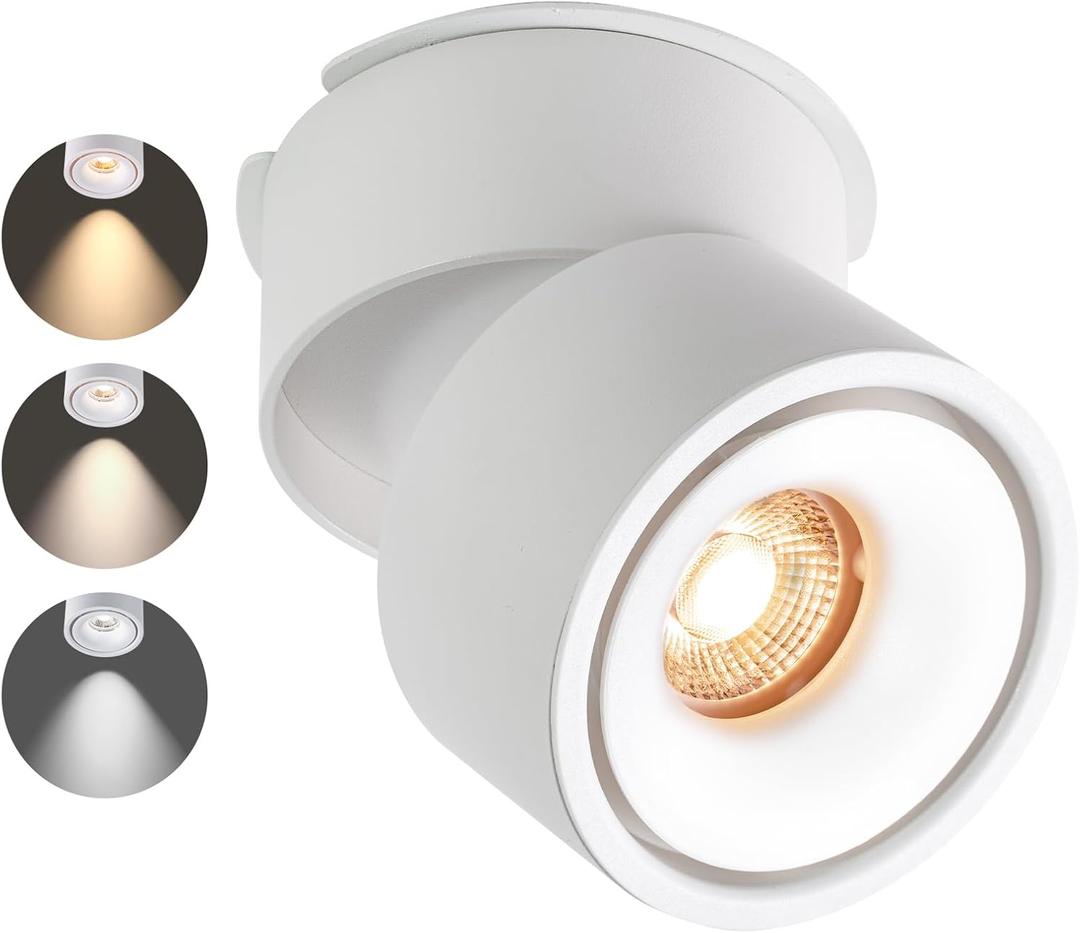 Ceiling Spot Lights Indoor, Ceiling Accent Lights, 3000-6000K Selectable, 10W LED Spot Lights, CRI 98, 220 Directional, White Adjustable accent lights for Living Room Hallway Gallery (Single Light)