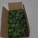 DearHouse Faux Eucalyptus Garland Plant, 2 Pack Artificial Vines Hanging Eucalyptus Leaves Greenery Garland for Wedding Backdrop Arch Wall Decor, 6 Feet/pcs UV Protected Indoor Outdoor