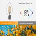 LED Candelabra Bulb, E12 Chandelier Light Bulbs, B11 Candle Light Bulbs, 4.5W Dimmable 450LM(60W eq.) Clear Glass 2700K Soft White, 90+CRI (12 Pack)