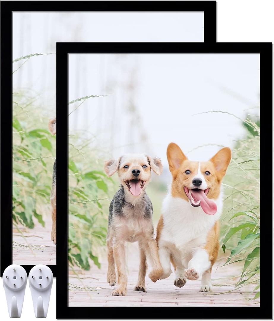 14x18 Picture Frame Set of 2, Black Photo Frames High Transparent Wall Gallery Desktop Horizontal Vertical for Canvas Collage Photo Poster Certificate 14 x 18 inches