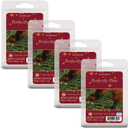 Scentsationals Wax Melts - Perfectly Pine Scented Fragrance - Wax Cubes Pack, Air Freshener - 10oz (24-Cubes)