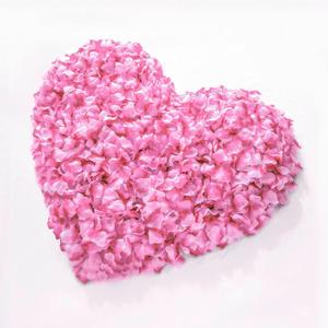 1000Pieces Rose Petals, Artificial Flower Petals Fake Rose Petals for Romantic Night,Wedding,Proposal Anniversary Flower Decorations (Pink Gradient) (1000pcs)