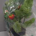 Creative Co-Op Faux Tomato Plant in Plastic Pot
