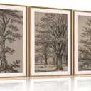 HOURIA Vintage Tree Sketch Framed Canvas Wall Art Set,Natural Brown and Gray Woodland Wall Decor,Mid Century Nature Forest Artwork,Textured Botanical Art Print for Living Room,Bedroom,Office-16"x24"x3