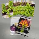 10 x Seeds Summer Savory Heirloom Herbs for Planting Non GMO 800 Seeds