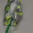 Gradient Fitness Stretching Strap for Physical Therapy, 12 Multi-Loop Stretch Strap 1.5" W x 8' L, Neoprene Handles, Physical Therapy Equipment, Yoga Straps for Stretching, Leg Stretcher. (Green/Grey)