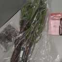 Hairui Lighted Christmas Norfolk Pine Tree 180 LED Fairy Lights 4FT Plug in, Faux Pine Tree Lights for Indoor Outdoor Home Holiday Decoration (3ft 11in)