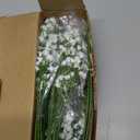 Lylyfan Babys Breath Artificial Flowers,12 Pcs Gypsophila Faux Flowers for Wedding Party Home Garden Decoration