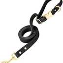 PetBonus Waterproof Dog Leash, 5 FT Odor Proof Walking Training Lead for Small Medium Dog, Adjustable Handle with Side Release Buckle (S, Black)