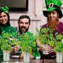 2 Pcs St Patricks Day Decorations Artificial Shamrock Berry Stems in Vase 12'' Green Clover Floral Branches with Metal Pot Greenery Floral Branches for Party Home Table Centerpieces
